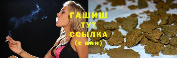 ECSTASY Богданович